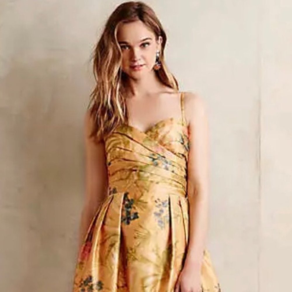 James Coviello Botanica Dress Sz 2 NWT - Picture 2 of 6